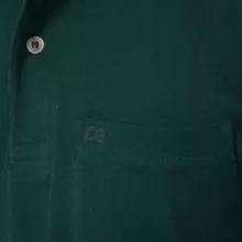 PETER ENGLAND Solid Polo Neck Green T-Shirt for Men - PCKWSRGPB22554