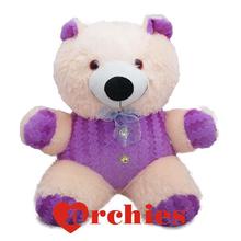 Smooth Purple Yellow Teddy Bear