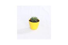 Succulent Regular Pot 4 Inch