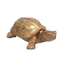 Copper Small Sized Tortoise