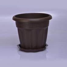 Marigold 10 Inch Plastic Planter