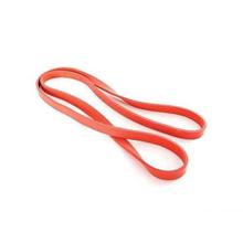 Extreme Resistance Loop Bands- Red (Level 2)