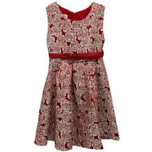 Maroon Rose Printed Frock For Girls