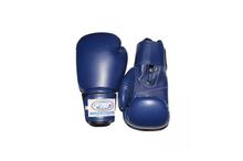 F.B.T Boxing Gloves Pro