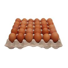 Fresh Eggs - (30pcs)