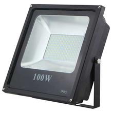 100W Flood Light - (Black)