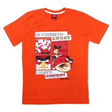 ANGRY BIRDS Kids`s T-shirts – (Boys & Girls)