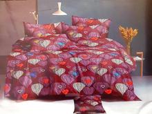 Doublebed Bedsheet Cover Set Heart Design