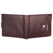 WildHorn Brown Men's Wallet