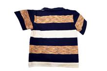 Kids Polo T-shirts Striped Design – Blue/White/Brown