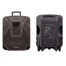 YS-12TS 12" Trolley Speaker - (Black)