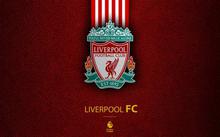 Liverpool Football Club For Laptop Screen Background(15.4 inch/14)