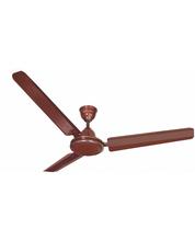 Baltra Pace Ceiling Fan BF 146