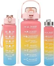 Water Bottle Set: 3-Pack with 300ml, 900ml, and 2L