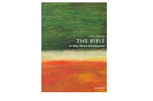 The Bible: A Very Short Introduction (John Riches)