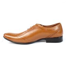 Shikhar Shoes Brogue Leather Shoes For Men (2914)- Tan