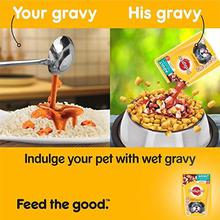 Pedigree Adult Wet Dog Food, Chicken & Liver Chunks in Gravy – 80 g (1.2 kg, 15 Pouches)