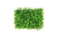 Green Plastic Artificial Wall Plants 60 x 40cm