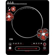 2000W Induction Cooker