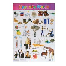 Opposite Words Educational Wall Chart Poster