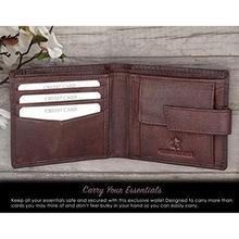 WildHorn Brown Men's Wallet