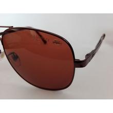 Lacoste aviator Sunglasses