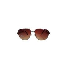 Lacoste Silver designed Sunglasses