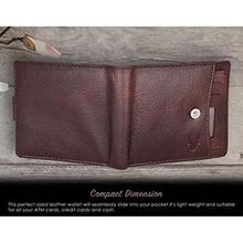 WildHorn Brown Men's Wallet