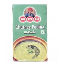 MDH Chutney Pudina Masala 100gm