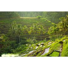 Bali Holiday Package ( 4 Nights - 5 Days )