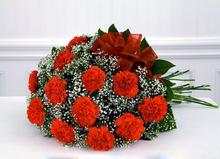 Red Carnations (बंगैचे फुल ) 12 PCs