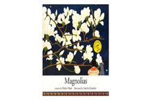 Magnolias ( Malati Shah)