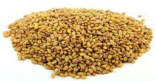 Essential Living Alfalfa Seeds - 100 gms