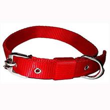 Nylon Collar for Dogs