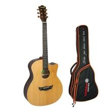 Dreammaker 1 Model Pro Acoustic Guitar With Guitar Bag