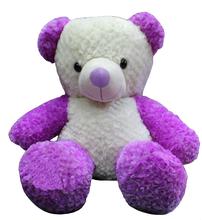 Purple White Teddy Bear