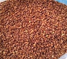 Brown Sesame (खैरो तील) 500gm