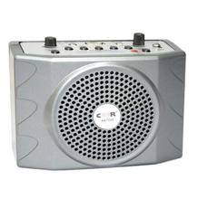 Teach Microphone Speaker/Amplifier- Grey