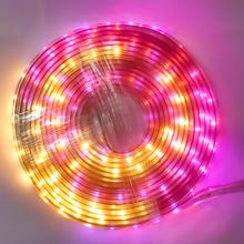 10m SMD LED Rope Light