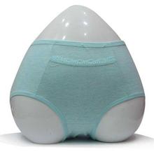 Blue Period Friendly Panty (9351)