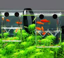 Mini Fish Breeding Isolation Box By Crown Aquatics