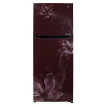 LG 258L Double Door Refrigerator with Frost Free Technology(GL-K292SPTL)