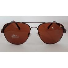 Lacoste aviator Sunglasses