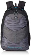 Fastrack 26.31 Ltrs Black School Backpack (A0704NBK01)