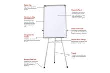 Magnetic White Board - Height Adjustable
