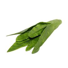 Green Artificial Spinach