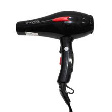 Gemei Professional Hair Dryer (GM-1706) - Black