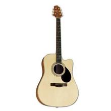 Samick GD-100 SC/NS Greg Bennett Acoustic Guitar