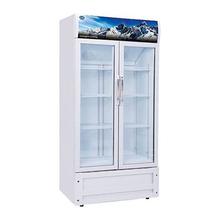 CG 460 Ltrs Showcase Standing Freezer CG 4613SC