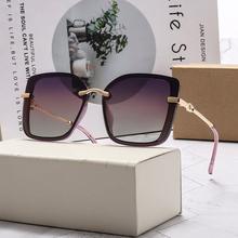 Polarized Sunglasses_Ladies' Box-Leg Polarized Sunglasses
